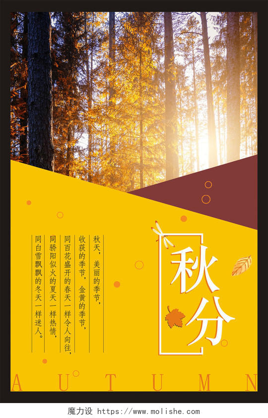 秋分秋天枫叶黄色简约海报
